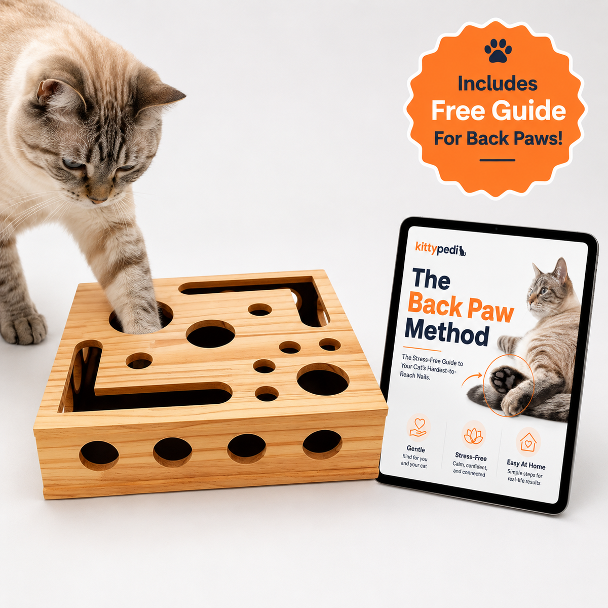 The Back Paw Method: Trim Your Cat's Hardest-to-Reach Nails In 10 Minutes Or Less