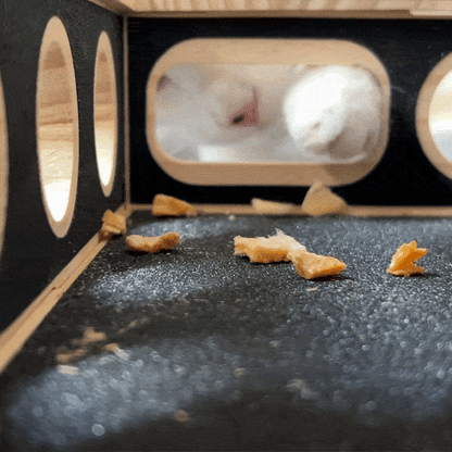 FureverPet's KittyPedi