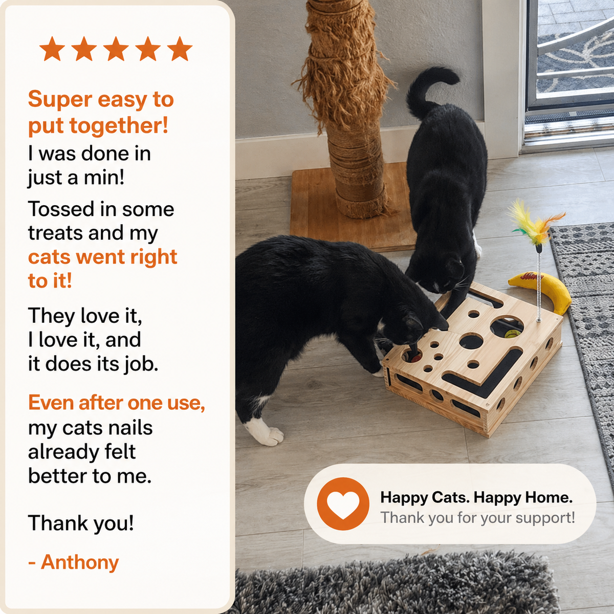 FureverPet's KittyPedi