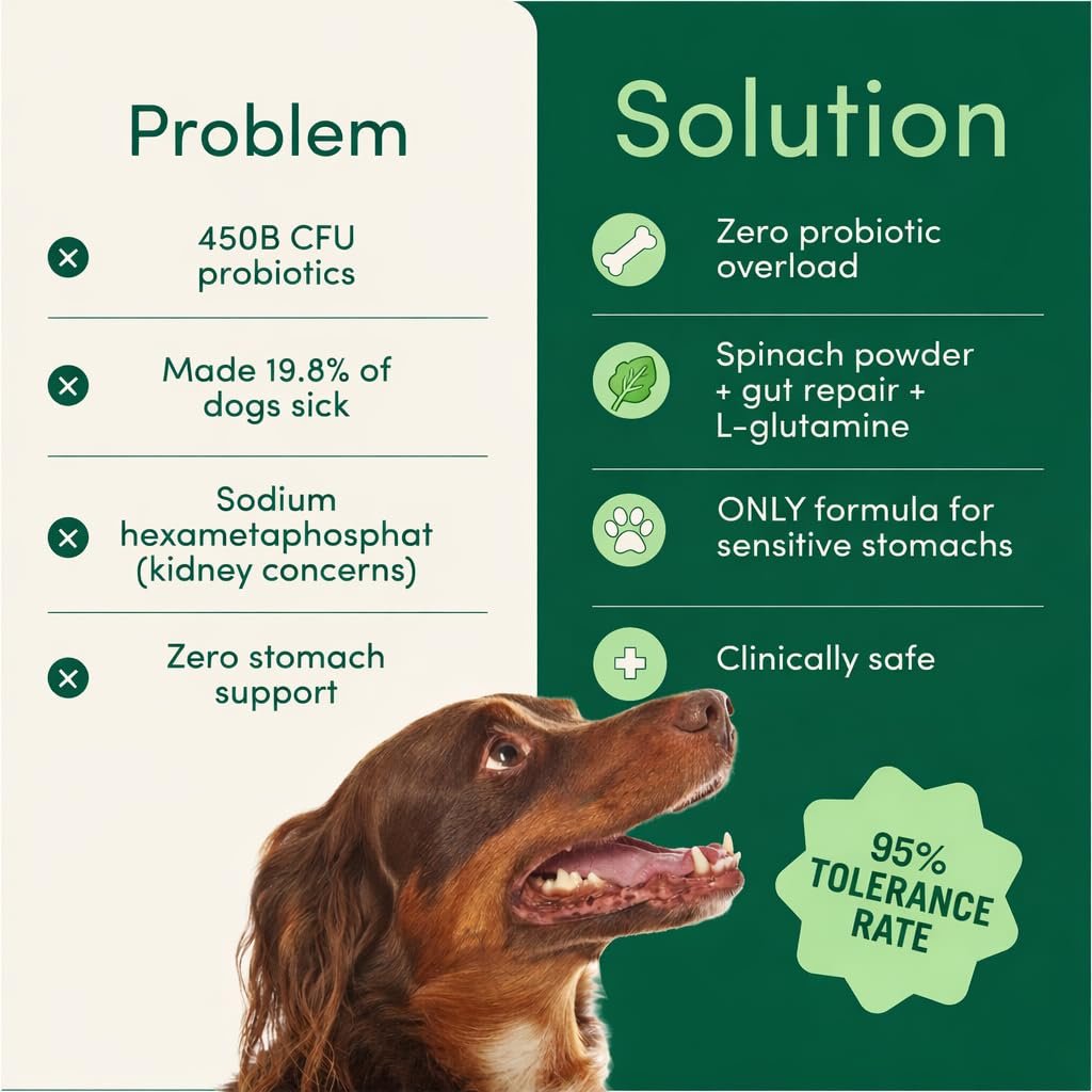 FureverPet's Breath Buddy Dental Powder