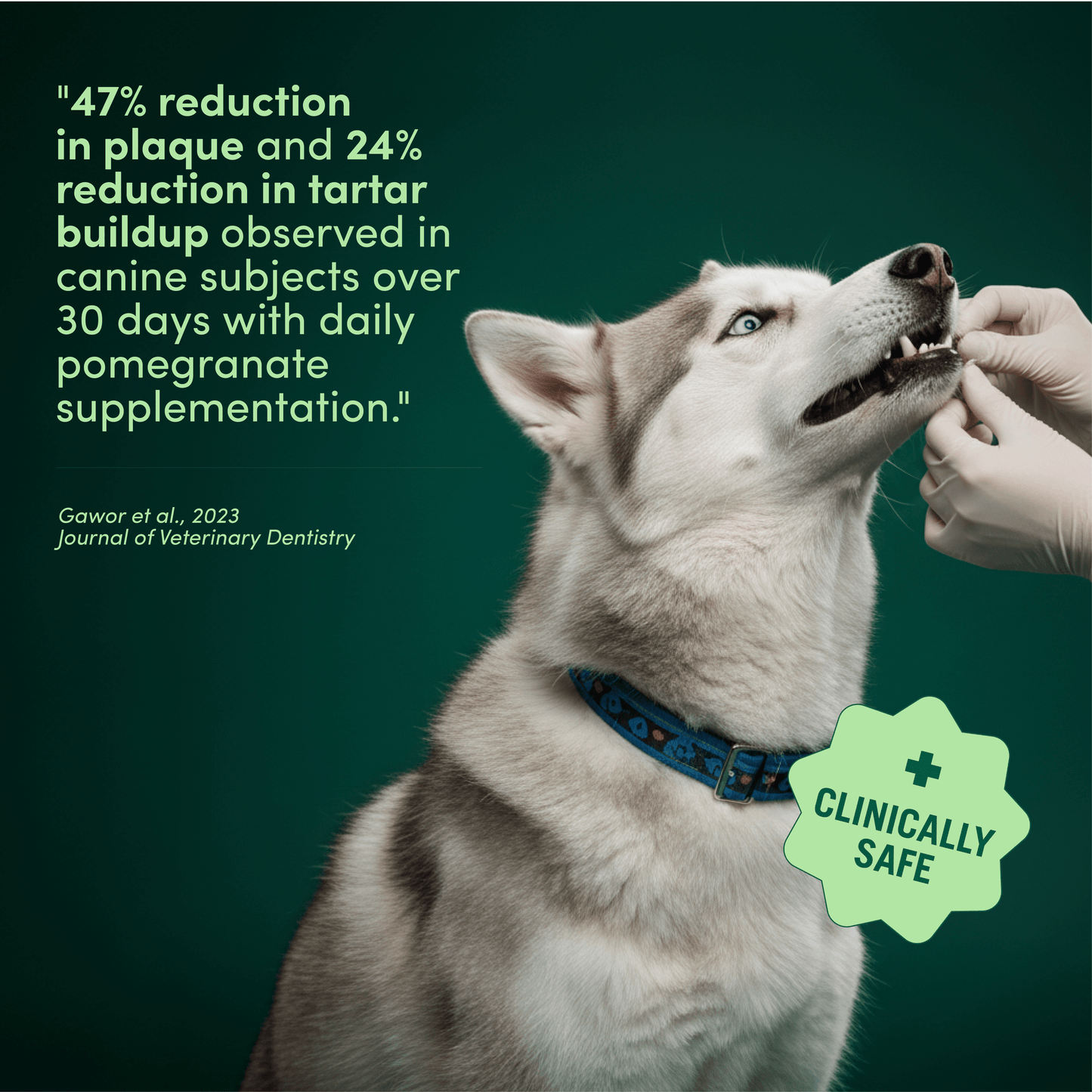 FureverPet's Breath Buddy Dental Powder