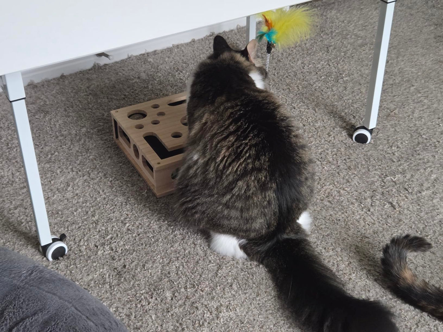 FureverPet's KittyPedi