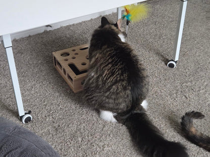 FureverPet's KittyPedi