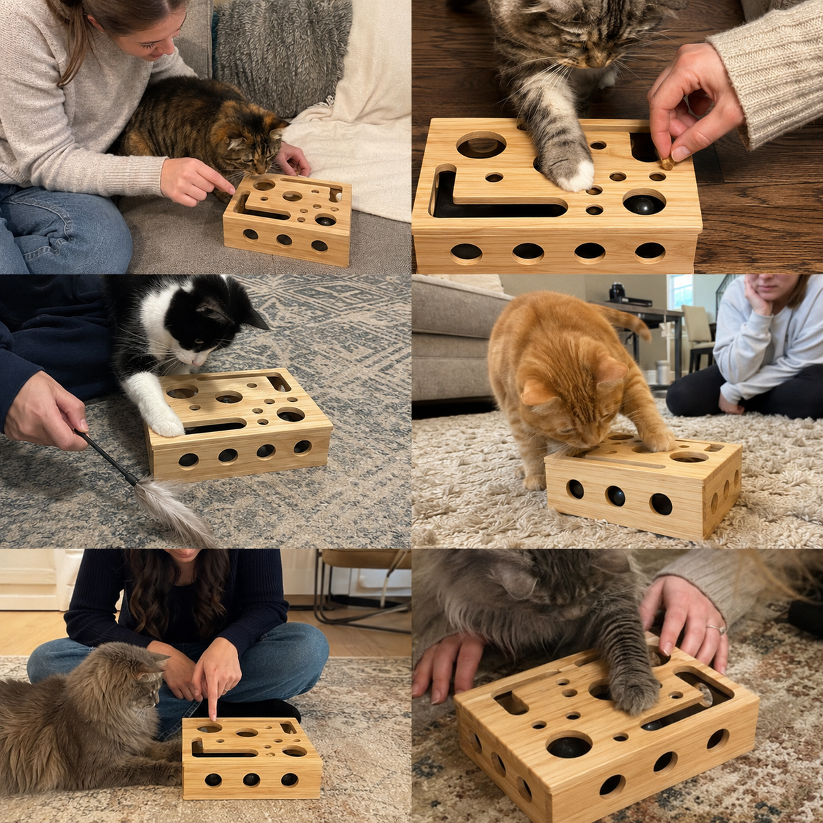 FureverPet's KittyPedi